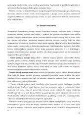 Saugomų teritorijų tipai Lietuvoje 19 puslapis