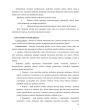 Tarptautinės prekybos privalumai bei trūkumai 14 puslapis