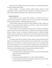 Tarptautinės prekybos privalumai bei trūkumai 19 puslapis