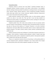 Tarptautinės prekybos privalumai bei trūkumai 3 puslapis