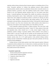 Tarptautinės prekybos privalumai bei trūkumai 8 puslapis