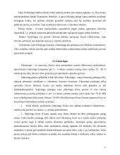 Verslo kreditavimo šaltiniai 11 puslapis