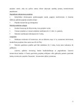 Verslo kreditavimo šaltiniai 15 puslapis