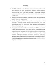 Verslo kreditavimo šaltiniai 16 puslapis