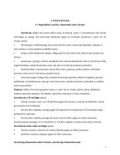 Verslo kreditavimo šaltiniai 3 puslapis