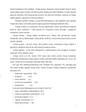 Verslo kreditavimo šaltiniai 7 puslapis