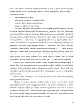 Verslo kreditavimo šaltiniai 10 puslapis