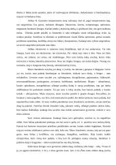 Savęs psichologinė analizė 3 puslapis