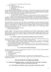 Teorija baudžiamosios teisės atsiskaitymui 16 puslapis