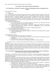 Teorija baudžiamosios teisės atsiskaitymui 17 puslapis