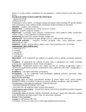 Baudžiamosios teisės bendrieji pagrindai 11 puslapis