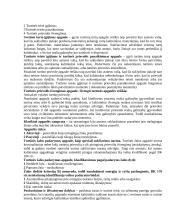 Baudžiamosios teisės bendrieji pagrindai 16 puslapis