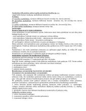 Baudžiamosios teisės bendrieji pagrindai 4 puslapis