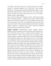 Laimo liga 12 puslapis