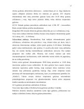 Laimo liga 17 puslapis