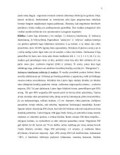 Laimo liga 5 puslapis