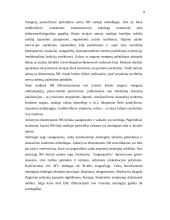 Laimo liga 8 puslapis