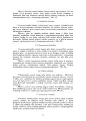 Intelekto rūšys. koeficientai ir tyrimai 6 puslapis