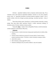 Internetinės svetainės pateikimas, komunikacija ir efektyvumas: Švietimo ir mokslo ministerijos tinklalapis 2 puslapis