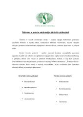 Internetinės svetainės pateikimas, komunikacija ir efektyvumas: Švietimo ir mokslo ministerijos tinklalapis 4 puslapis