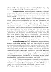 Internetinės svetainės pateikimas, komunikacija ir efektyvumas: Švietimo ir mokslo ministerijos tinklalapis 7 puslapis