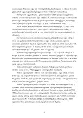 Siuvimo įrenginiai 5 puslapis