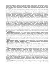 Juridiniai asmenys. Sandorių forma. Poilsio laikas 3 puslapis