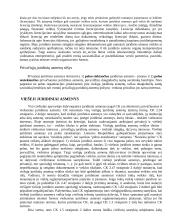 Juridiniai asmenys. Sandorių forma. Poilsio laikas 5 puslapis