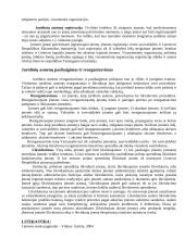 Juridiniai asmenys. Sandorių forma. Poilsio laikas 7 puslapis