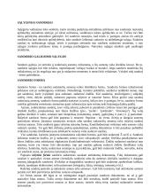 Juridiniai asmenys. Sandorių forma. Poilsio laikas 9 puslapis