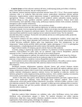 Juridiniai asmenys. Sandorių forma. Poilsio laikas 10 puslapis