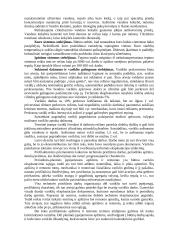 Jūrinė praktika 4 puslapis