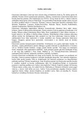 Klasicizmas Vilniuje 3 puslapis