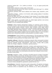 Klasicizmas Vilniuje 8 puslapis