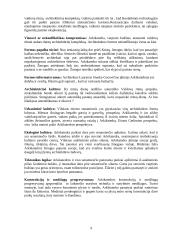 Klasicizmas Vilniuje 9 puslapis