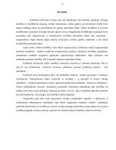 Komunikacijos procesas, jo stebėjimas ir analizė 13 puslapis