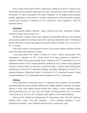 Lietuvos ir kitų šalių rauginti pieno gėrimai ir technologija 4 puslapis