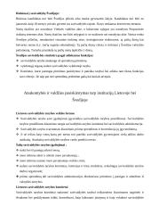 Lietuvos ir Švedijos vietos savivaldos palyginimas 4 puslapis