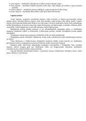 Ligos istorija: gūžys 2 puslapis