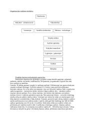 Lininio audinio gamybos proceso valdymo praktika: namų tekstilės gaminių gamyba UAB "Baltlina" 3 puslapis