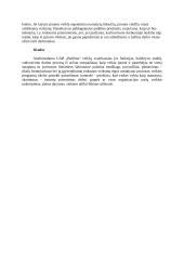 Lininio audinio gamybos proceso valdymo praktika: namų tekstilės gaminių gamyba UAB "Baltlina" 6 puslapis