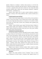 Maistinės infekcijos ir maistinių apsinuodijimų skirtumai 6 puslapis