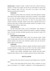 Maistinės infekcijos ir maistinių apsinuodijimų skirtumai 7 puslapis