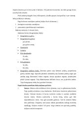 Maistinės infekcijos ir maistinių apsinuodijimų skirtumai 9 puslapis