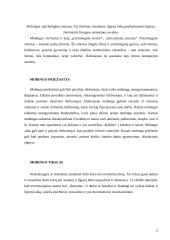 Mobingo problema 2 puslapis