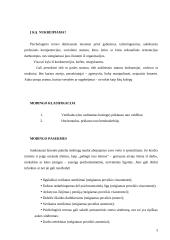 Mobingo problema 3 puslapis