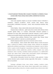 Mokslinio tyrimo pagrindai: straipsniai apie architektūrą 6 puslapis