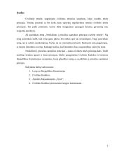 Nesikišimo į privačius santykius principas civilinėje teisėje 3 puslapis