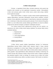 Nesikišimo į privačius santykius principas civilinėje teisėje 4 puslapis