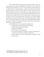 Nesikišimo į privačius santykius principas civilinėje teisėje 9 puslapis